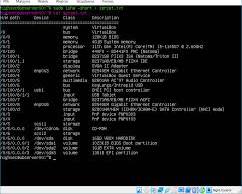 Obraz: Wynik polecenia uname o