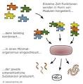 Synthetische Biologie 