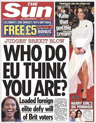 Image result for gina miller + thesun