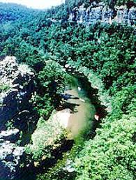 Image result for "Jacks Fork"