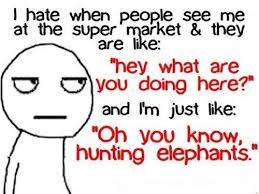 Funny Quotes That Make Sense. QuotesGram via Relatably.com