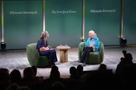 Remembering Jane Goodall A Life Devoted to Chimpanzees and Conservation