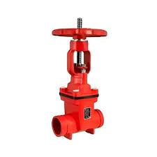 Válvula gaveta ranhurada - 3" Segurimax | EPI Zeus