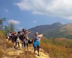 Image of Pushpagiri Wildlife Sanctuary, Kumara Parvatha Trek