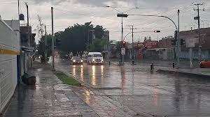 VIDEO. Lluvia en León deja árbol caído, cortes de luz y afectaciones menores