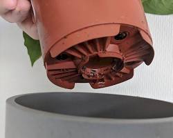 Image of Drainage holes in container