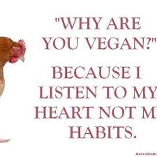 Famous Vegan Quotes. QuotesGram via Relatably.com