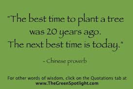 Environmental Quotes By Famous People. QuotesGram via Relatably.com