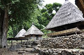 Image result for rumah adat lopo