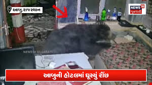 News18 Gujarati - News update