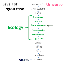Image result for organisms and their environment