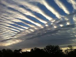 Image result for chemtrails