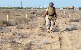 Saudi Masam project clears 1,906 explosive devices in Yemen