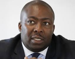 Image result for kasukuwere