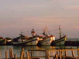 Resultado de imagem para pesca rs