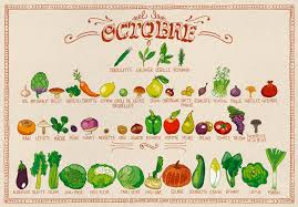 Resultado de imagen de légume fruit saison