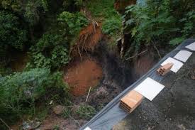 Chuva causa queda de árvores, alagamentos e deixa desalojados em MG