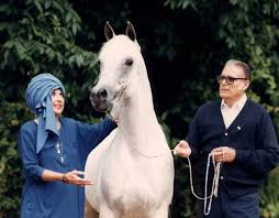 Image result for IRAN HORSES