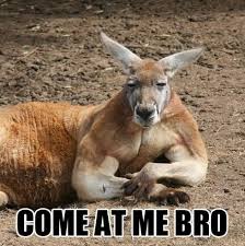 Supreme 10 trendy quotes about kangaroo photo French | WishesTrumpet via Relatably.com