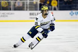 The Hockey News - News update