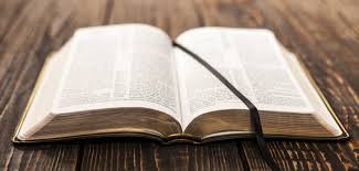 Image result for bible study