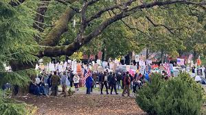 Handmaids, zebras and other protesters lend their voices to No Kings rally in Olympia