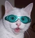 zeroUV - Super Cat Eye Glasses Vintage Inspired