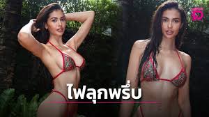 เดลินิวส์ - News update