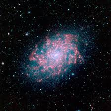 Image result for ngc 1566