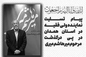 میرهاشم میری همدان