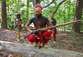 Image result for indian french and indian wars