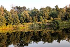 MiltonToday.ca - News update