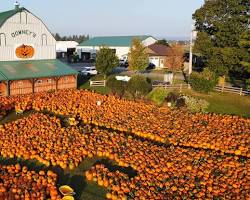 Image of Downey's Farm in Toronto during fall