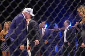 UFC boss Dana White says 'never again' to another White House fight night