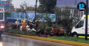Árbol cae sobre vehículo durante tromba en Puebla; muere una mujer