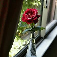 Image result for ‫صدایم کن‬‎