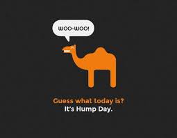 Image result for hump day humor