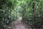 AMAZON JUNGLE ANIMALS, ECUADOR - Cuyabeno Lodge