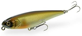 Картинки по запросу Офслфдд water monitor