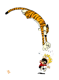 Image result for calvin and hobbes