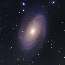 Image result for galaxy m81