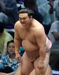 大相撲 結果 今日 幕内