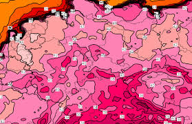 temperaturen august