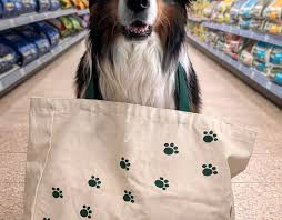 Abandon D'animal : la rencontre qui retient son souffle — image 2