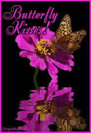 Image result for animated butterflies wallpaper