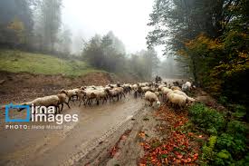 هشدار نارنجی هواشناسی برای بارندگی و وزش باد در گیلان