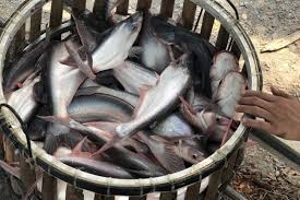 VietnamBiz - News update
