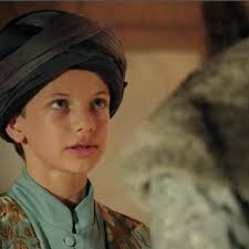 Geçtiğimiz sezon Şehzade Beyazıd-ı çocuk oyuncu Erhan Can Kartal canlandırdı. - muhtesem-yuzyil-da-son-transfer-beren-saat-intikam-1384413