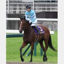日刊ゲンダイ競馬 - News update