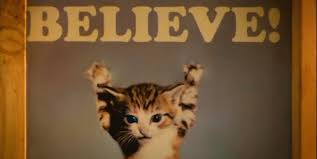 Image result for lego movie cat meme